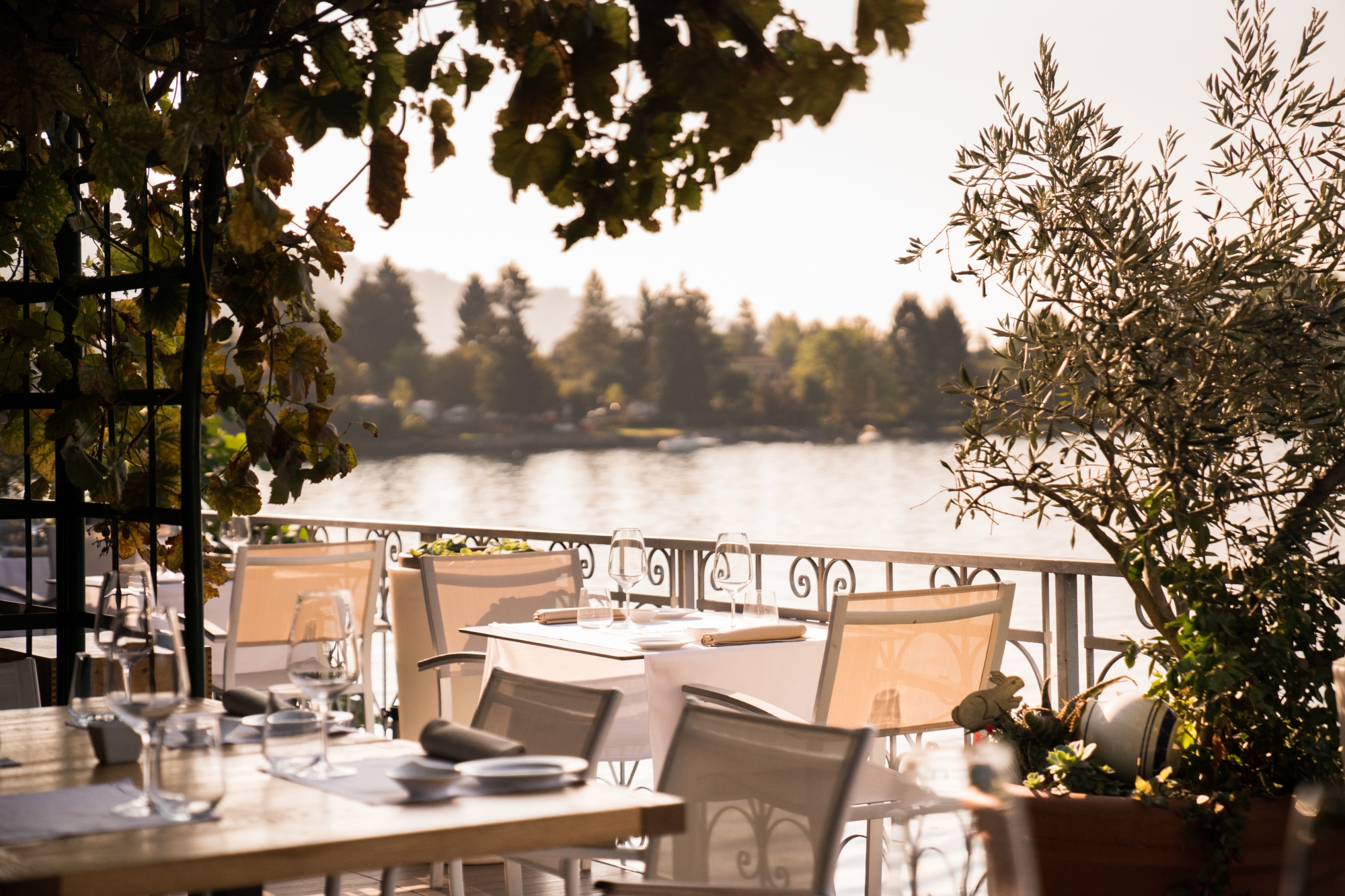 The Gazebo Hotel